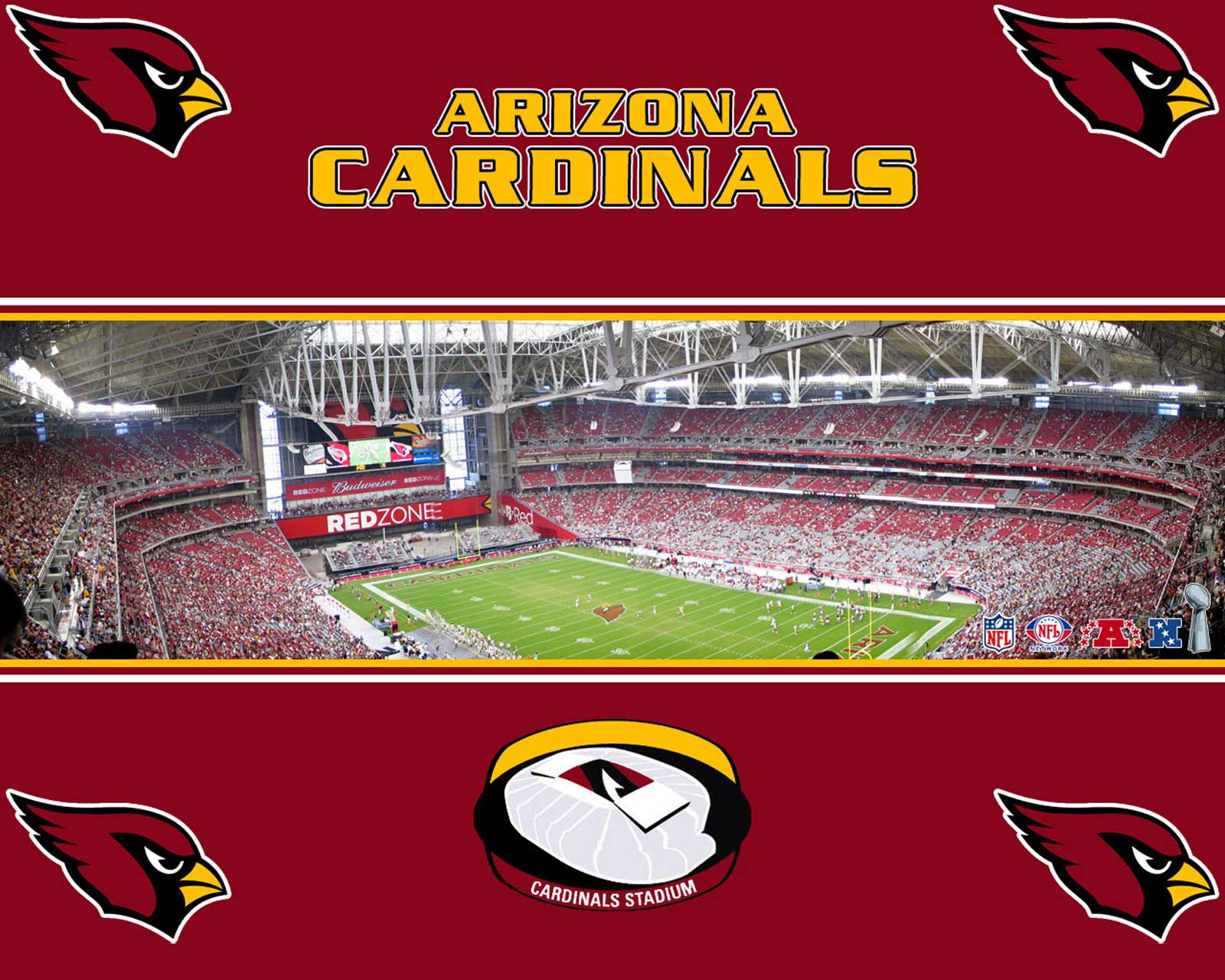 arizona cardinals