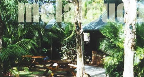 melaleuca reviews melaleuca reviews